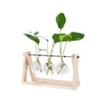 thumbnail image 1 of Planta Hidropónica Florero Transparente Marco De Madera Mesa Decorativa Vidrio Transparente Contenedor De Flores Bonsai Planta Decoración Florero Advancent HA039933-06, 1 of 6