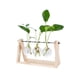 thumbnail image 1 of Planta Hidropónica Florero Transparente Marco De Madera Mesa Decorativa Vidrio Transparente Contenedor De Flores Bonsai Planta Decoración Florero Minnieouse HA039933-06, 1 of 6
