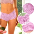 thumbnail image 6 of Women's Lace Hipster Panty - Semi-Sheer Seamless Soft Underwear with Cotton Liner, 6 of 7