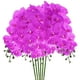 thumbnail image 1 of Uxcell 6-Pack Flores de Orquídea Artificial 9 Pétalos Grandes 37 Pulgadas Ramo de Phalaenopsis de Seda Púrpura Oscura Orquídeas Falsas para el Hogar/Boda, 1 of 1