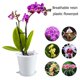 thumbnail image 2 of Maceta transparente para control de raíces, orquídea, flor carnosa, contenedor transpirable blanco Ehuebsd Libre de BPA, 2 of 5