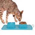 thumbnail image 3 of Tazón Plegable para Perros Perro/gato Tazón de Alimentación Plegable de Silicona Tazones Dobles Estera con Bolsa de Almacenamiento para Viajes en casa,Green. Afortunado Sencillez, 3 of 4