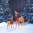thumbnail image 5 of NOMA Christmas Deer Pre-Lit LED Outdoor Decor Holiday Yard Decoration, 5 of 7