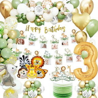 Safari Birthday Decorations, Multicolor Jungle Theme Party Supplies for  Kids Birthday Decor