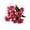 Hot Pink, variant on Artificial Crabapple Blossoms in Hot Pink - Fake Floral Stems for Floral Arrangements, Faux Crabapple Blooms for Home Decor and Decorative Displays