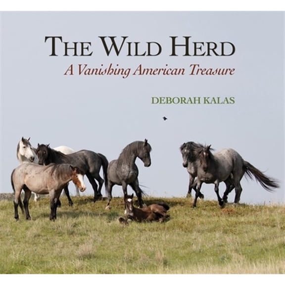 Pre-Owned The Wild Herd: A Vanishing American Treasure (Hardcover) 0997640596 9780997640595