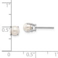thumbnail image 3 of Primal Gold 14 Karat White Gold 4.5mm Round June/FreshWater Cultured Pearl Post Earrings, 3 of 5