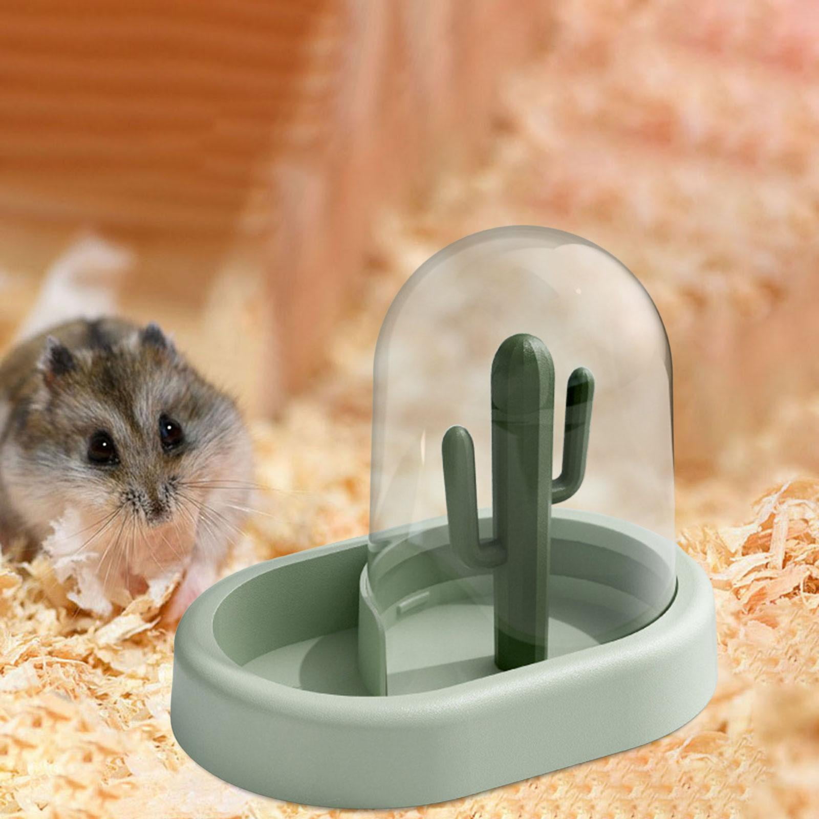 Feeder hamsters hotsell
