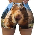 thumbnail image 2 of Susaid Close-Up Curious Squirrel Print Intensify Workout Shorts for Women Seamless Scrunch Short Gym Yoga Running Sport Active Exercise Fitness Shorts-X-Large, 2 of 8