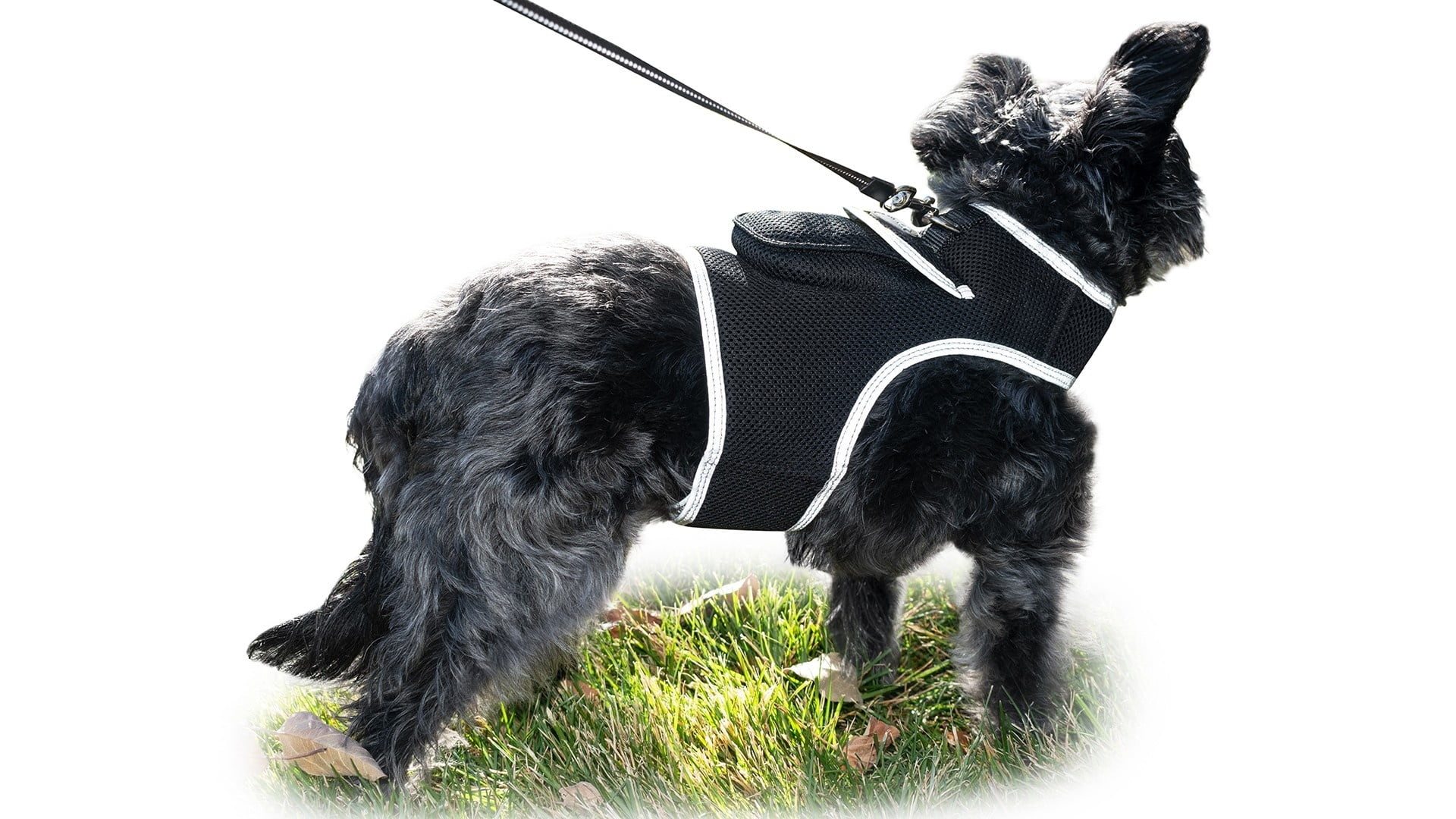 Universal Fit GSM GPS Tracking Collars Waterproof Pet Location Finder Size:L