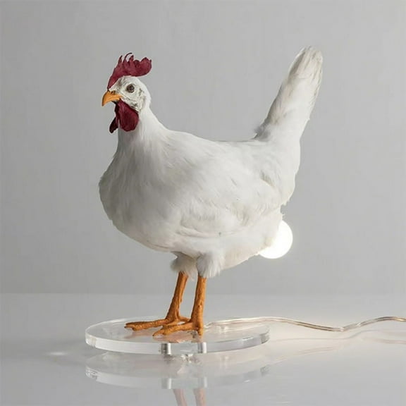 Eggs Lamp, Chicken Lamp,Interesting Lights are Considered Art We Begrudgingly Love It, Resin Egg Lamp Exists
