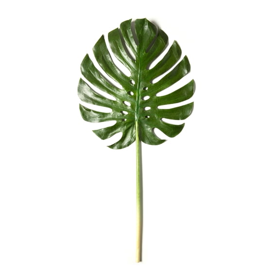 Ashland Tropical Monstera Leaf Stem