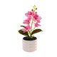thumbnail image 5 of Orquídea bonsái artificial, decoración de escritorio de oficina para bodas, blanco y rosa con rayas, 5 of 6