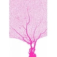 thumbnail image 2 of Murdock, Ramona 23x32 Black Ornate Wood Framed with Double Matting Museum Art Print Titled - Coral Hot Pink, 2 of 4
