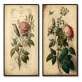 thumbnail image 2 of Designart "Pink Rose on Retro Parchment Classic Elegance" Floral Rose Framed Wall Art Set Of 2 - Traditional Pink Framed Wall Art Set Of 2, 2 of 6