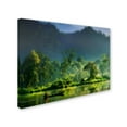 thumbnail image 2 of Trademark Fine Art 'Painting Of Nature' Canvas Art by Hardibudi, 2 of 3