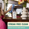 thumbnail image 6 of Aunt Fannie's Cleaning Spray Variety Pack, 6 of 7