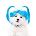 thumbnail image 3 of Pet Wig Cat Wig Fun Adjustable Dog and Cat Cosplay Wigs for Small Medium Pets Soft Breathable Costume Hairpieces for Halloween Christmas Parties,E, 3 of 5