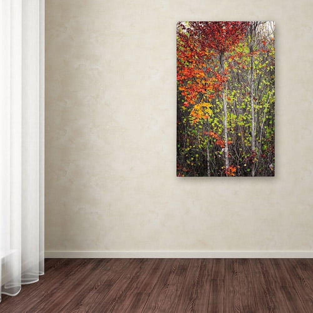 Trademark Fine Art "Color Touch" Canvas Art by Philippe Sainte-Laudy