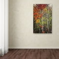 thumbnail image 3 of Trademark Fine Art "Color Touch" Canvas Art by Philippe Sainte-Laudy, 3 of 3