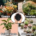 thumbnail image 7 of 300G Organic Horticultural Activated Charcoal, Natural Soil Supplement for Indoor Plants, Perfect for Orchids, Terrariums, Bonsai and Garden Use, 7 of 7