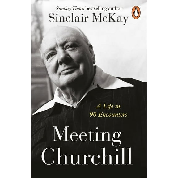 Meeting Churchill : A Life in 90 Encounters (Paperback)
