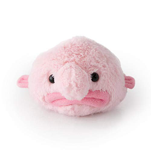Hashtag Collectibles Stuffed Blobfish 