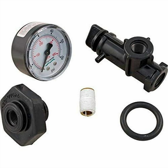Pentair 24850-0105 Valve and Gauge Assembly Replacement for Select Sta-Rite Pool and Spa Filters