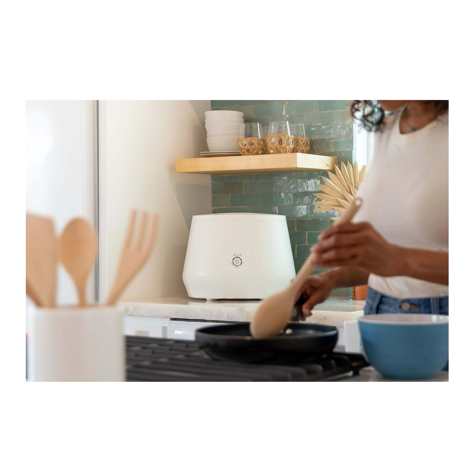 Lomi Smart Waste Kitchen Composter — Rise