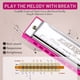 thumbnail image 4 of Harmonica East top Blues Diatonic con tecla C de 10 agujeros con funda, 4 of 7