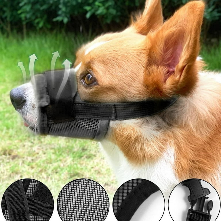 Trunk Spacer Dog Dog Accessories Online Shop Dog Lunging Accessories Dog Accessories for Large Dogs Dog Accessories Store Pet Supplies Plus near Me Pet Supplies For Small Dog Food Pet Supplies