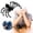 A, variant on 3D Printed Spider Movable Joints Quiet Fidget 3D Printed Animal Halloween Decor Articulated Skeleton Style Large Ornament for Desk Shelf