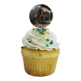 thumbnail image 5 of Curious Wolf Pups Wolves Cupcake Picks Toppers Decoration Set of 6, 5 of 7