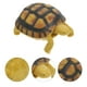 thumbnail image 2 of Ornamento de tortugas Modelo de animales cognitivos Modelo de tortuga plástica Tortuga de tierra falsa, 2 of 5