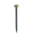 thumbnail image 1 of F|S FRAMER SUPPLY 1 inch Brass Capped Nail 100 Pack, 1 of 3