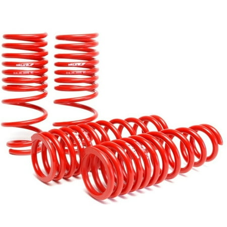 Acura Integra Turbo - Skunk2 94-01 Acura Integra Lowering Springs (2.50in - 2.25in.) (Set of 4)