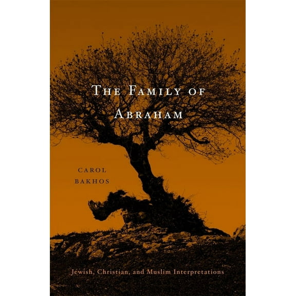 Family of Abraham: Jewish, Christian, and Muslim Interpretations (Hardcover)