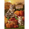 thumbnail image 3 of Briarwood Lane Fall Kittens Pumpkins House Flag, 3 of 4