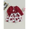 thumbnail image 2 of Bagilaanoe Toddler Baby Girl Fall Dress Floral Print Long Sleeve A-line Dresses 6M 9M 12M 18M 24M 3T Kid Fall Patchwork Skirt, 2 of 7
