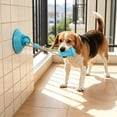thumbnail image 5 of Self Playing Dog Tug Toy, New Upgrade Dog Suction Cup Toy - Tug of War Style with Rope, Sturdy for Tough Chewers, Wear-Resistant Pull Toys for Small Medium and Large Dog (1PC, Blue), 5 of 8
