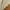 2# Khaki, variant on amkenre Flowy Tops for Women Round Neck Short Sleeve Solid Color Shirts Casual Loose Trendy Blouses Vacation Streetwear Sale Clearance