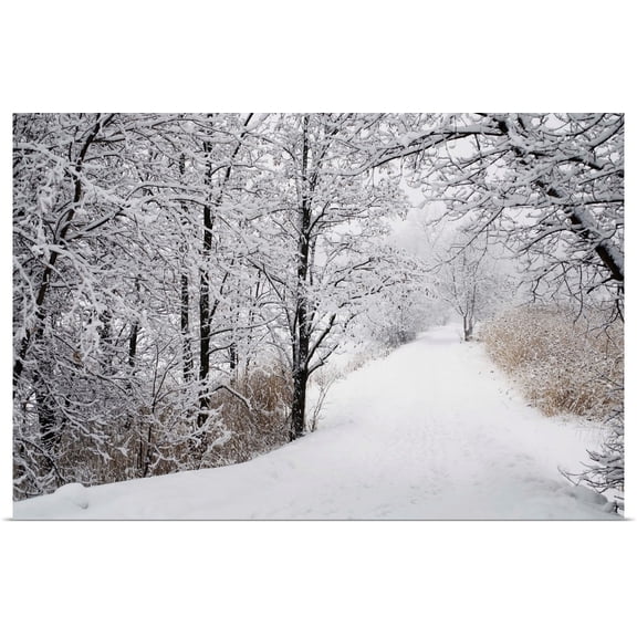 Great BIG Canvas | Rolled David Chapman Poster Print entitled A Path Lined With Trees And Covered In Snow; Quebec, Canada