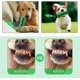 thumbnail image 2 of Juguete masticable para Perros Sincero cocodrilo verde con sonido, 2 of 5