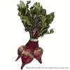 Image thumbnail_image