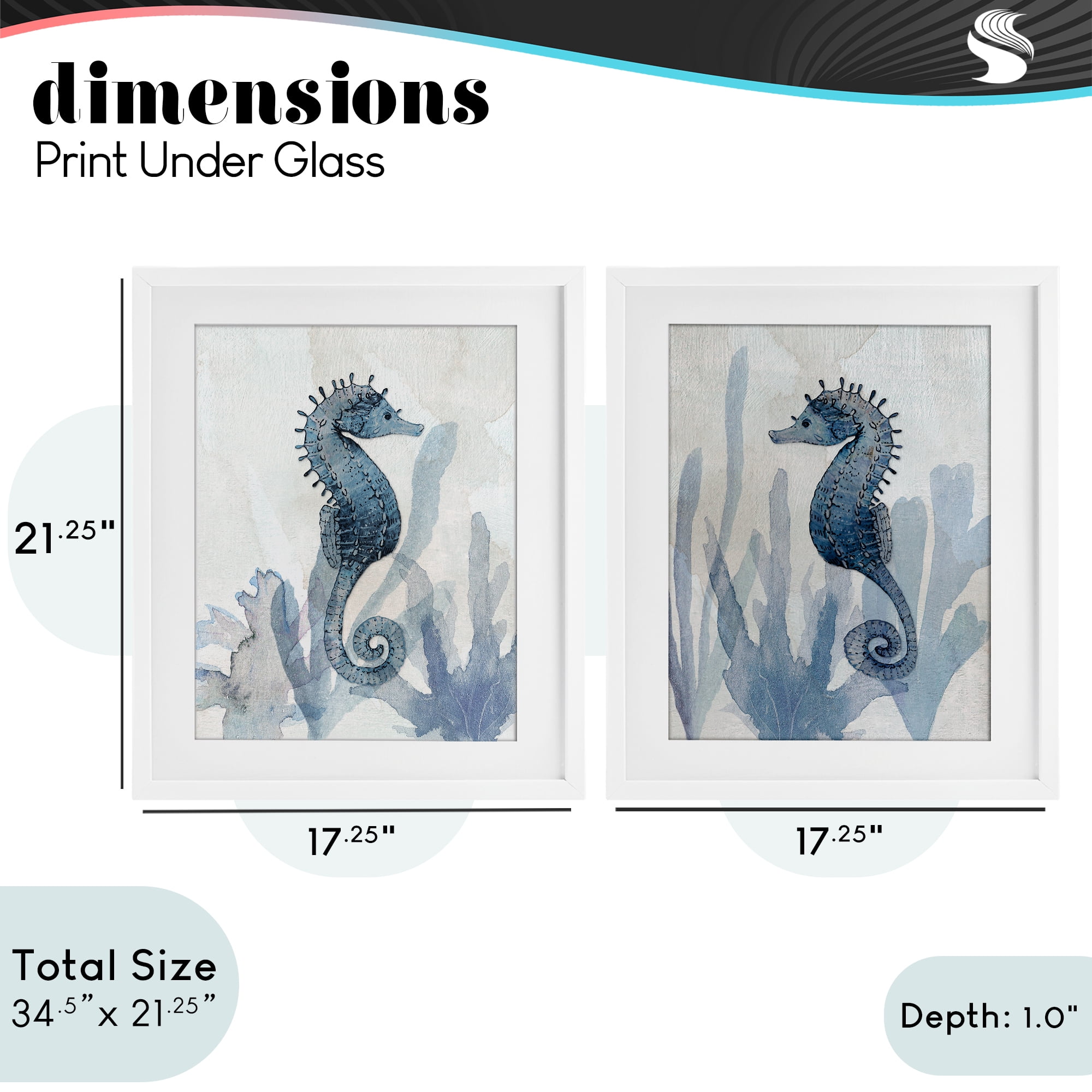 Stupell Industries Impressions of Seahorses 2 Piece White Framed Print Under Glass Set, design by Susan Jill