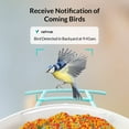 thumbnail image 5 of Bird Camera,  Netvue Birdfy Smart Bird Feeder Camera with Solar Panel for Outdoor Bird Watching, 5 of 10