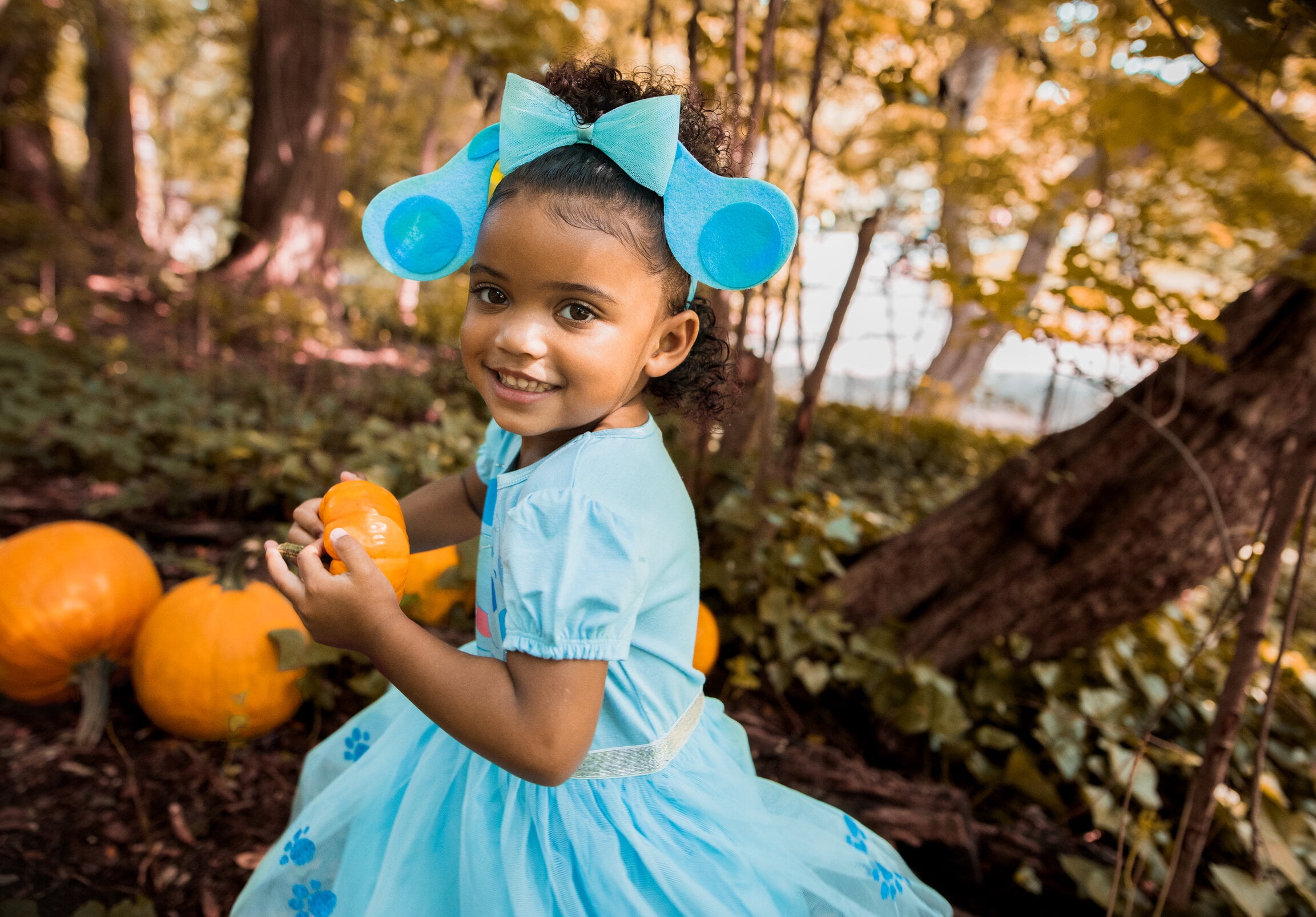blue clues dress Blue's & You! Little Girls Costume and Headband Infant to Big Kid made for little girls av-am BHLDN Zara Square-Neck Bow Size:46 Regular Jacket+40 Waist Adjust 36to42)(Height: 5'7