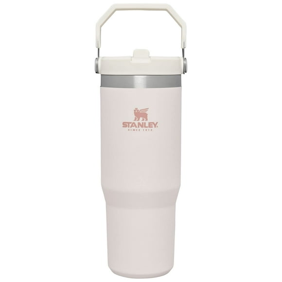 Stanley IceFlow Stainless Steel Tumbler with Straw - Vacuum Insulated Water Bottle for Home, Office or Car Reusable Cup with Straw Leak Resistant Flip Cold for
