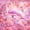 Fish 01, variant on Manfei Magical Purple Dolphin Rose Heart Full Size Sheets for Kids Boys and Girls, Marine Fantasy Print Bed Sheets 4pcs, 1 Flat Sheet, 1 Fitted Sheet and 2 Pillowcases