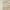 Mocha Ivory, variant on Nourison Serenity Home Geometric Mocha Ivory 5'3" x 7'3" Area Rug (5x7)